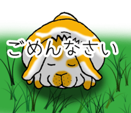 Muu-chan of Holland Lop sticker #13457831