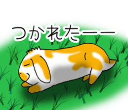 Muu-chan of Holland Lop sticker #13457833
