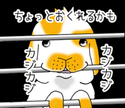 Muu-chan of Holland Lop sticker #13457838