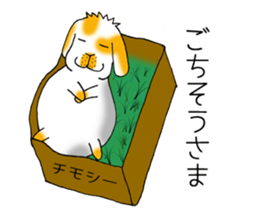 Muu-chan of Holland Lop sticker #13457839