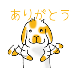 Muu-chan of Holland Lop sticker #13457843