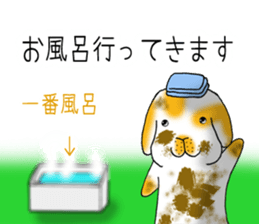 Muu-chan of Holland Lop sticker #13457847