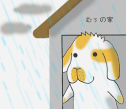 Muu-chan of Holland Lop sticker #13457849