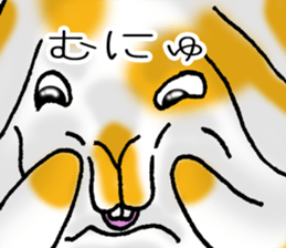 Muu-chan of Holland Lop sticker #13457850