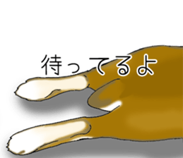 Muu-chan of Holland Lop sticker #13457853