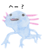 Axolotl painted by colored pencil sticker #13459823
