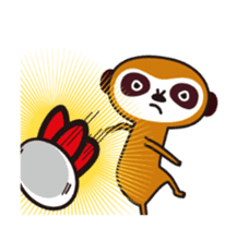 Meerkat Indiaca club sticker #13460774