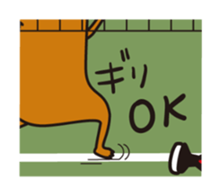 Meerkat Indiaca club sticker #13460776