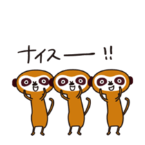 Meerkat Indiaca club sticker #13460786