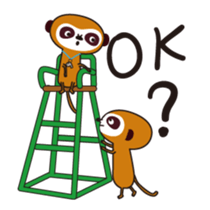 Meerkat Indiaca club sticker #13460792