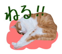 Bossy cat,POPO sticker #13461068