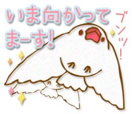 Outing java sparrows sticker #13461350