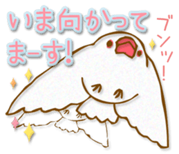 Outing java sparrows sticker #13461350