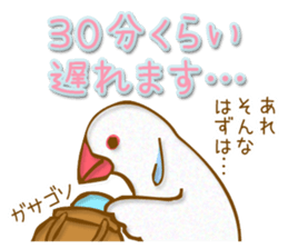 Outing java sparrows sticker #13461353