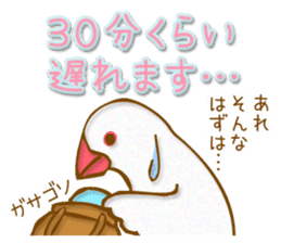 Outing java sparrows sticker #13461353