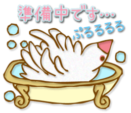 Outing java sparrows sticker #13461354