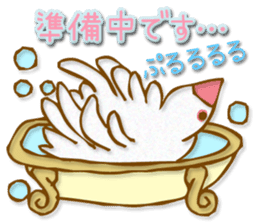 Outing java sparrows sticker #13461354