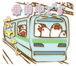 Outing java sparrows sticker #13461355