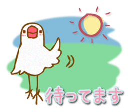 Outing java sparrows sticker #13461363