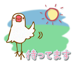 Outing java sparrows sticker #13461363