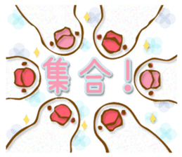 Outing java sparrows sticker #13461367