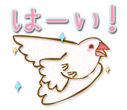 Outing java sparrows sticker #13461368