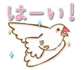 Outing java sparrows sticker #13461368