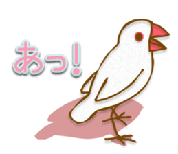 Outing java sparrows sticker #13461371