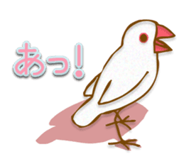 Outing java sparrows sticker #13461371