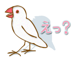 Outing java sparrows sticker #13461372