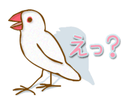 Outing java sparrows sticker #13461372