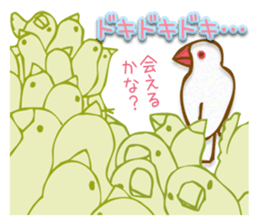 Outing java sparrows sticker #13461374