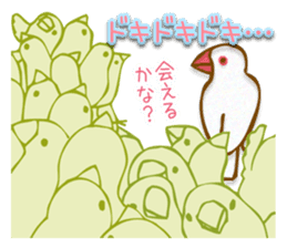 Outing java sparrows sticker #13461374