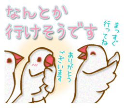 Outing java sparrows sticker #13461375
