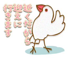 Outing java sparrows sticker #13461377