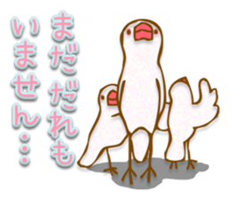 Outing java sparrows sticker #13461381