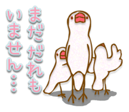 Outing java sparrows sticker #13461381