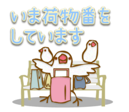 Outing java sparrows sticker #13461382