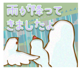 Outing java sparrows sticker #13461383