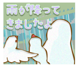 Outing java sparrows sticker #13461383