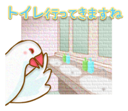 Outing java sparrows sticker #13461384