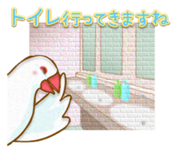 Outing java sparrows sticker #13461384