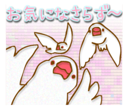 Outing java sparrows sticker #13461385