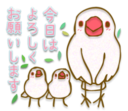 Outing java sparrows sticker #13461389