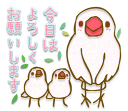 Outing java sparrows sticker #13461389