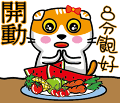 23Meow-What are you doing? sticker #13461569