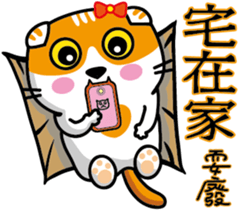 23Meow-What are you doing? sticker #13461591