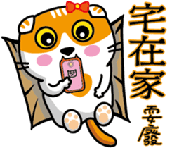 23Meow-What are you doing? sticker #13461591