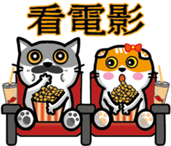 23Meow-What are you doing? sticker #13461592