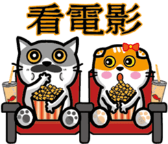 23Meow-What are you doing? sticker #13461592